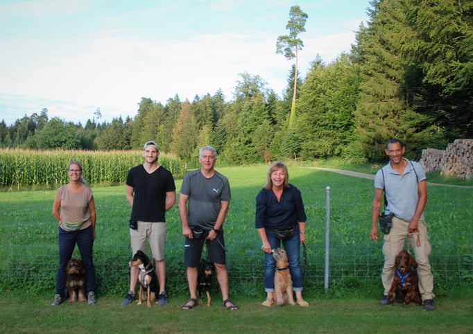 Junghundekurs © Hundeschule gooddog