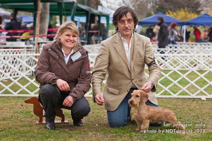 Ringtraining © Hundeschule gooddog