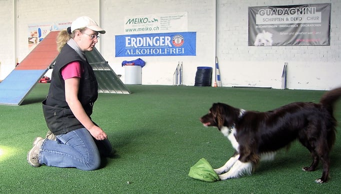 Clicker-Training © Hundeschule gooddog