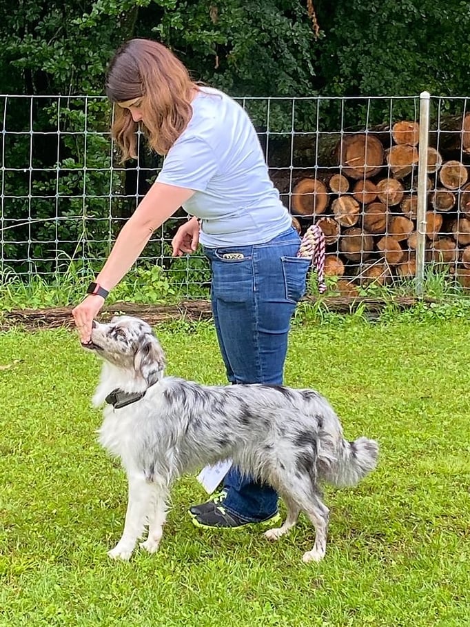 Rally-Obedience © Hundeschule gooddog