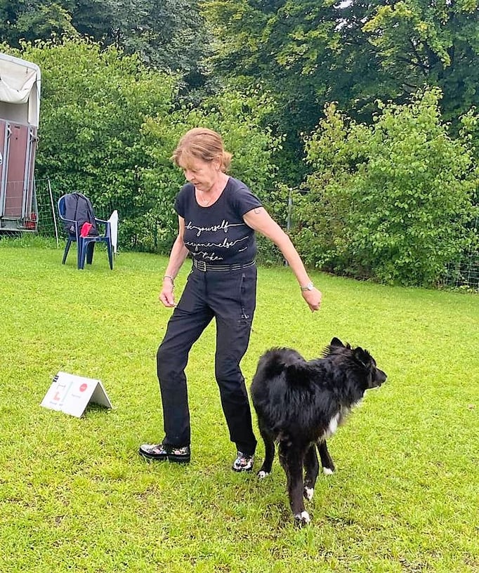 Rally-Obedience © Hundeschule gooddog