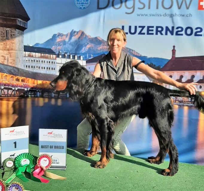 Ringtraining © Hundeschule gooddog