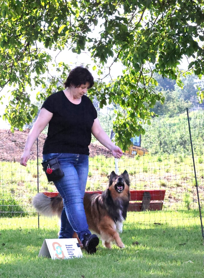 Rally-Obedience © Hundeschule gooddog