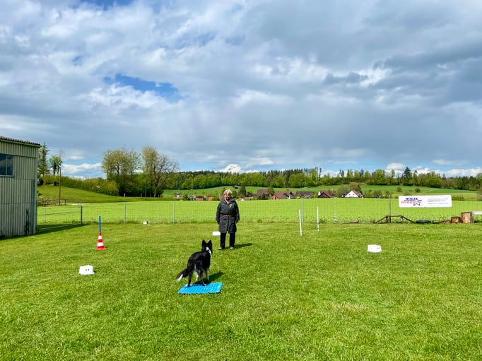 ZirkelSpass © Hundeschule gooddog