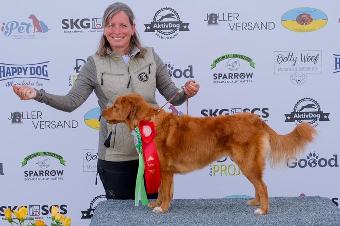 Ringtraining © Hundeschule gooddog