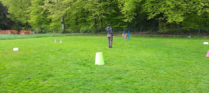 ZirkelSpass © Hundeschule gooddog