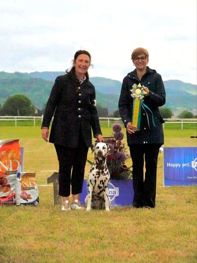 Ringtraining © Hundeschule gooddog