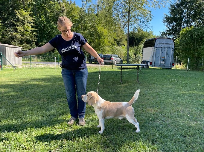 Ringtraining © Hundeschule gooddog