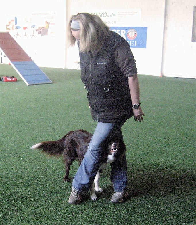 Clicker-Training © Hundeschule gooddog