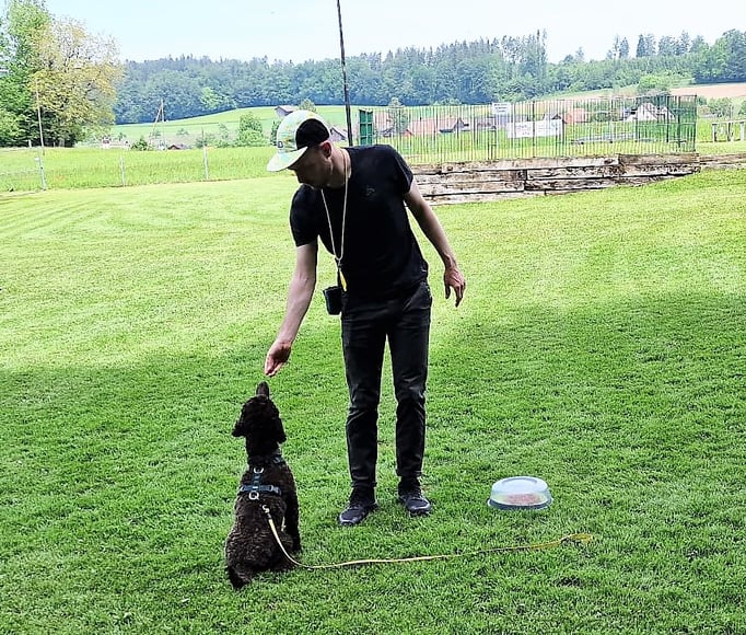Anti-Giftköder-Kurs @ Hundeschule gooddog