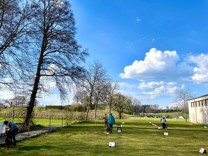 Rally-Obedience © Hundeschule gooddog