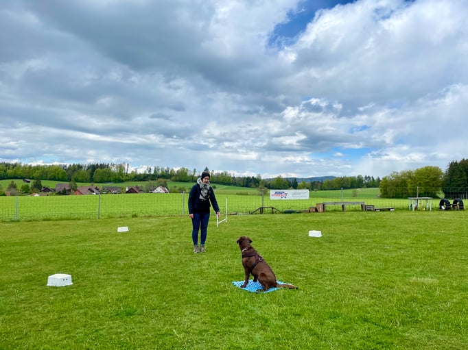 ZirkelSpass © Hundeschule gooddog