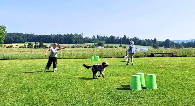 Longieren @ Hundeschule gooddog