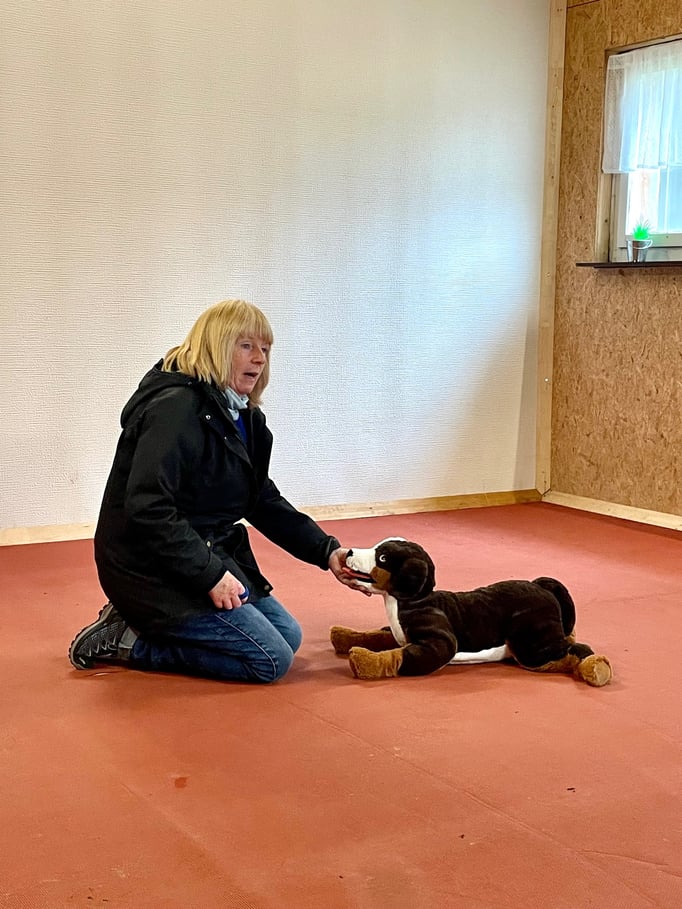 Clicker-Training © Hundeschule gooddog