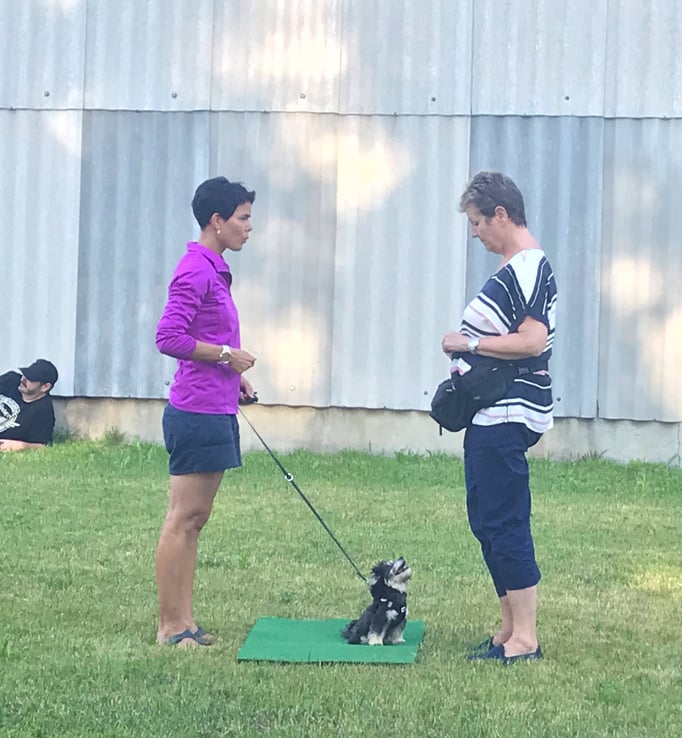 Zwergligruppe/Zwerghunde © Hundeschule gooddog