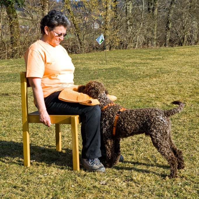 SpassSport © Hundeschule gooddog