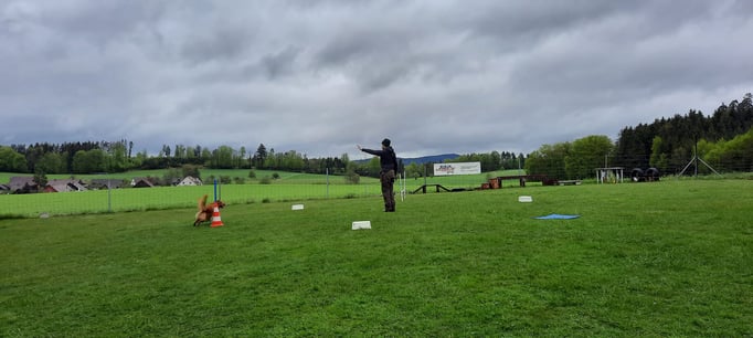 ZirkelSpass © Hundeschule gooddog