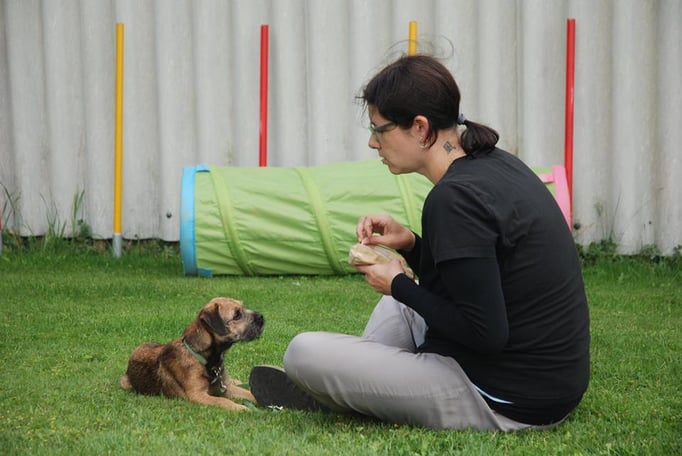 Zwergligruppe/Zwerghunde © Hundeschule gooddog