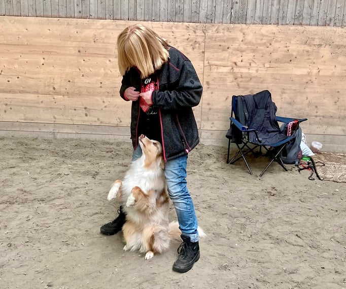 Clicker-Training © Hundeschule gooddog