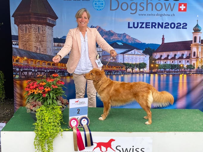 Ringtraining © Hundeschule gooddog