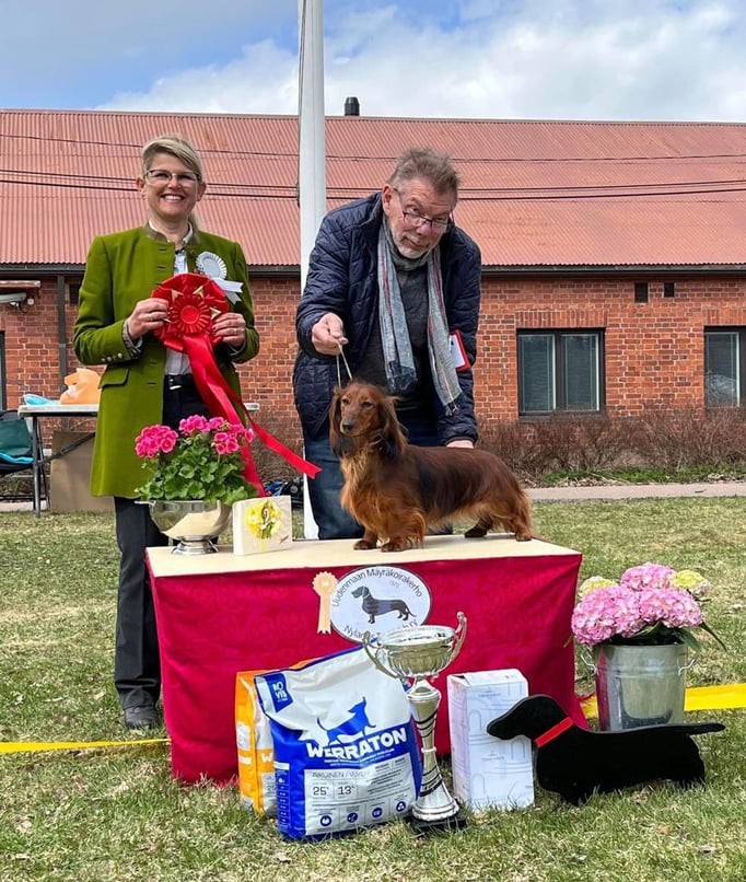 Ringtraining © Hundeschule gooddog
