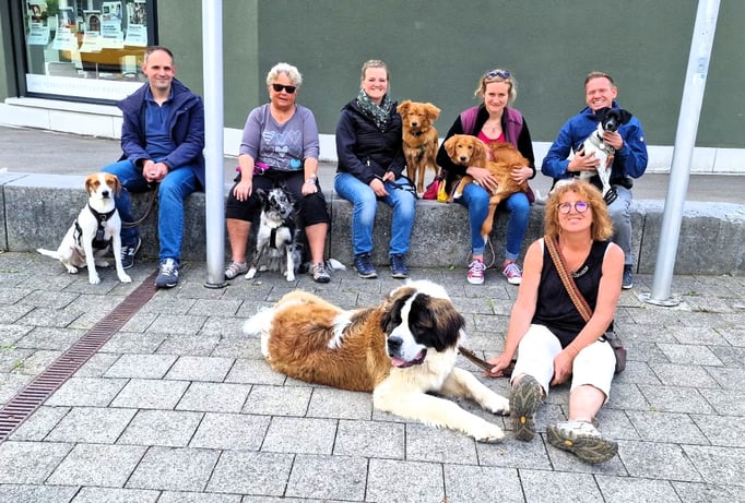 Junghundekurs © Hundeschule gooddog