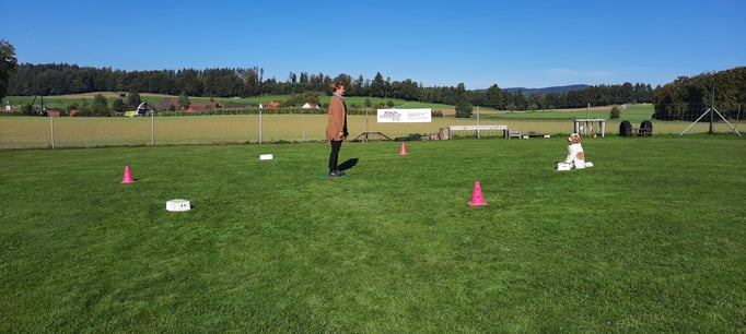 ZirkelSpass © Hundeschule gooddog