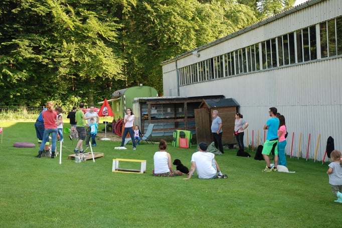 Schlussbesprechung Welpenschule © Hundeschule gooddog