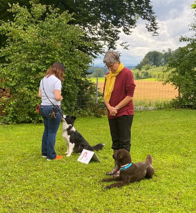 Rally-Obedience © Hundeschule gooddog