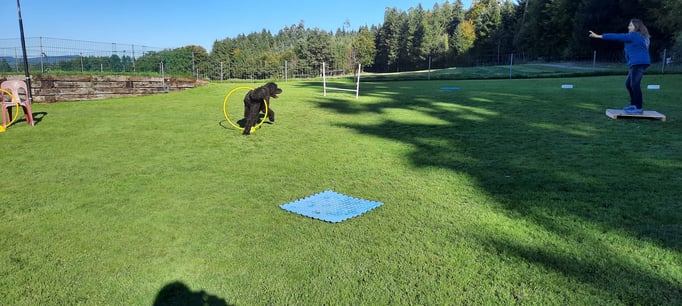 ZirkelSpass © Hundeschule gooddog