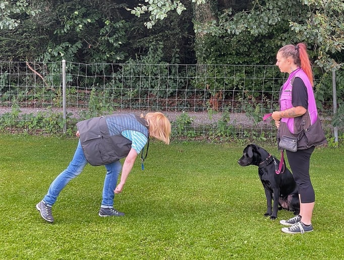Anti-Giftköder-Kurs @ Hundeschule gooddog