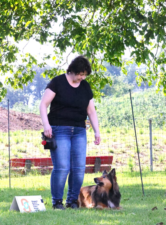 Rally-Obedience © Hundeschule gooddog