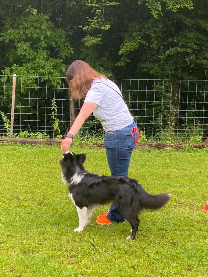 Rally-Obedience © Hundeschule gooddog