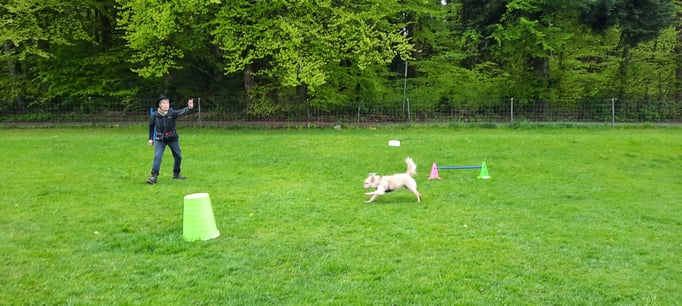 ZirkelSpass © Hundeschule gooddog