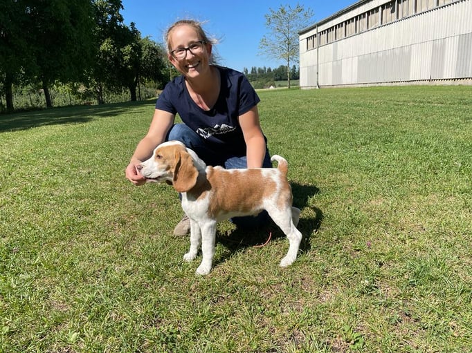 Ringtraining © Hundeschule gooddog