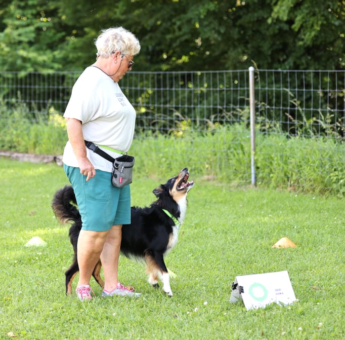 Rally-Obedience © Hundeschule gooddog
