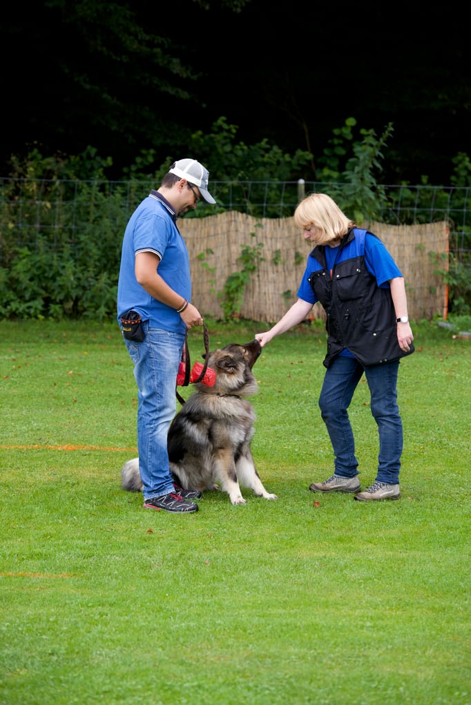 Erziehungskurs © Hundeschule gooddog
