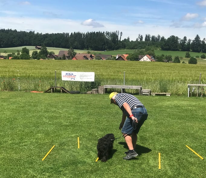 Führung © Hundeschule gooddog