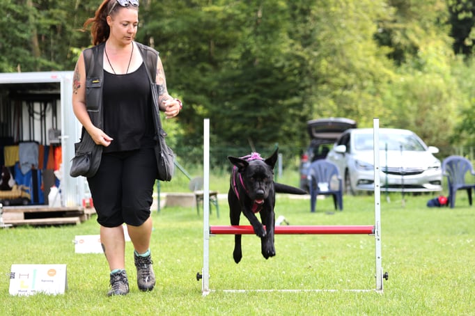 Rally-Obedience © Hundeschule gooddog