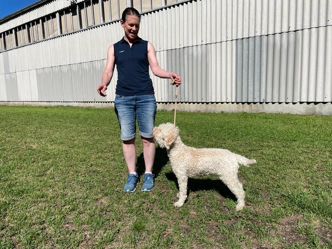 Ringtraining © Hundeschule gooddog