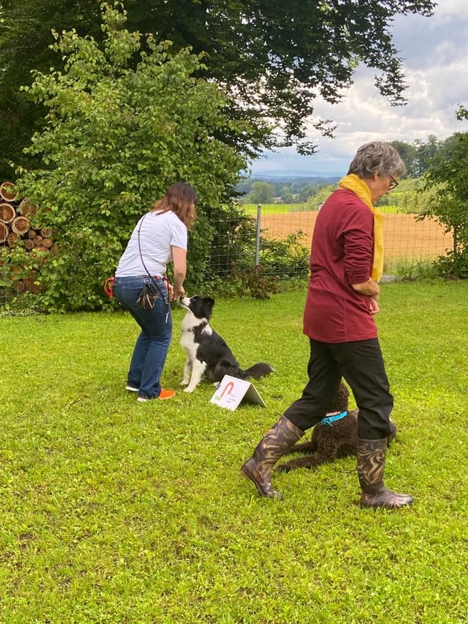 Rally-Obedience © Hundeschule gooddog