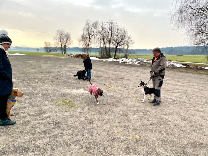 Rückruftraining © Hundeschule gooddog