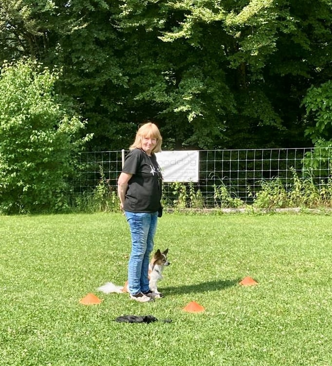 SpassSport © Hundeschule gooddog