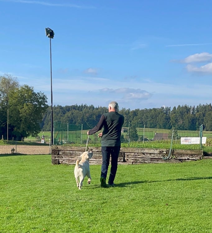 Ringtraining © Hundeschule gooddog
