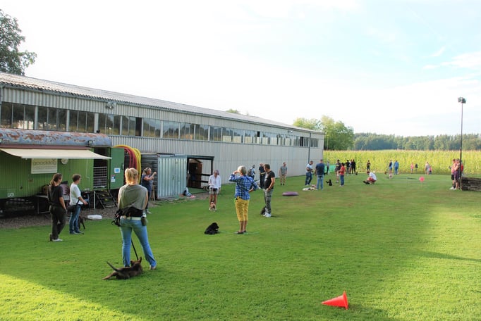 Welpenschule © Hundeschule gooddog 