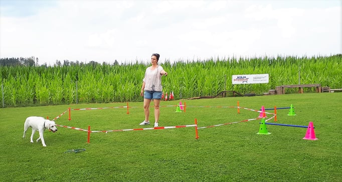 Longierkurs © Hundeschule gooddog