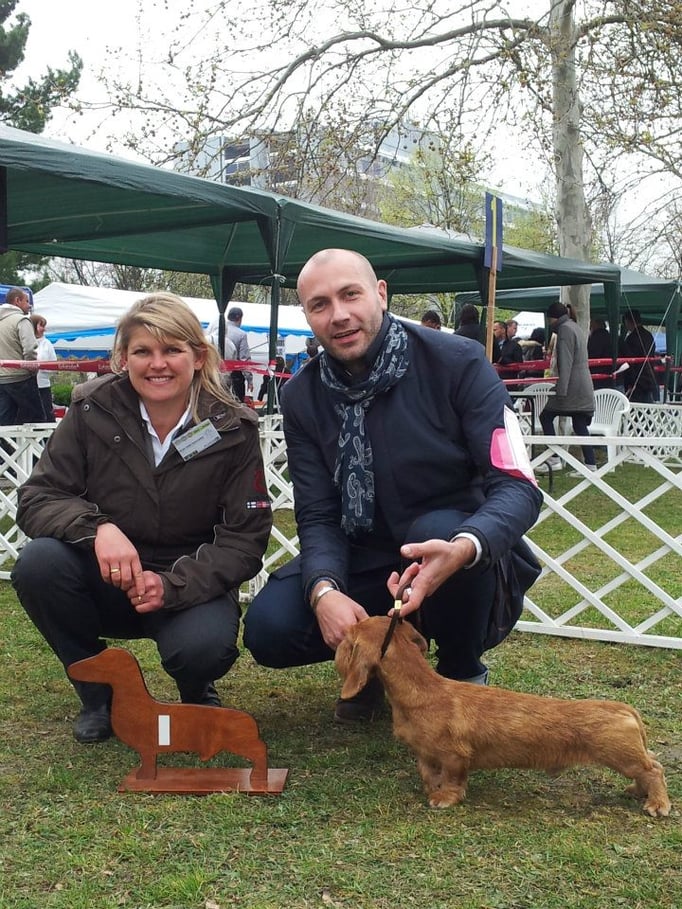 Ringtraining © Hundeschule gooddog