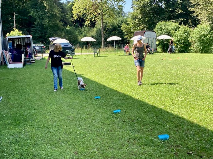 SpassSport © Hundeschule gooddog