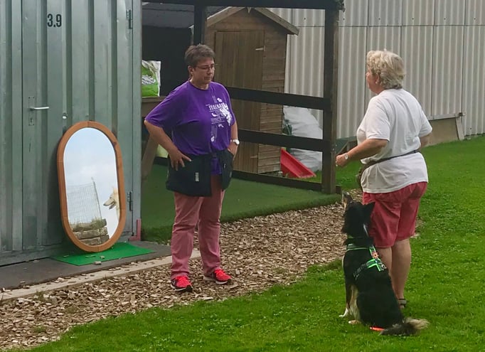 Freifolge © Hundeschule gooddog