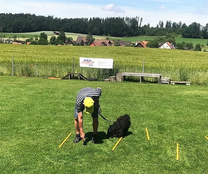 Führung © Hundeschule gooddog